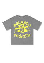 SOLDADO OVERSIZED TSHIRT IN GREY MARL