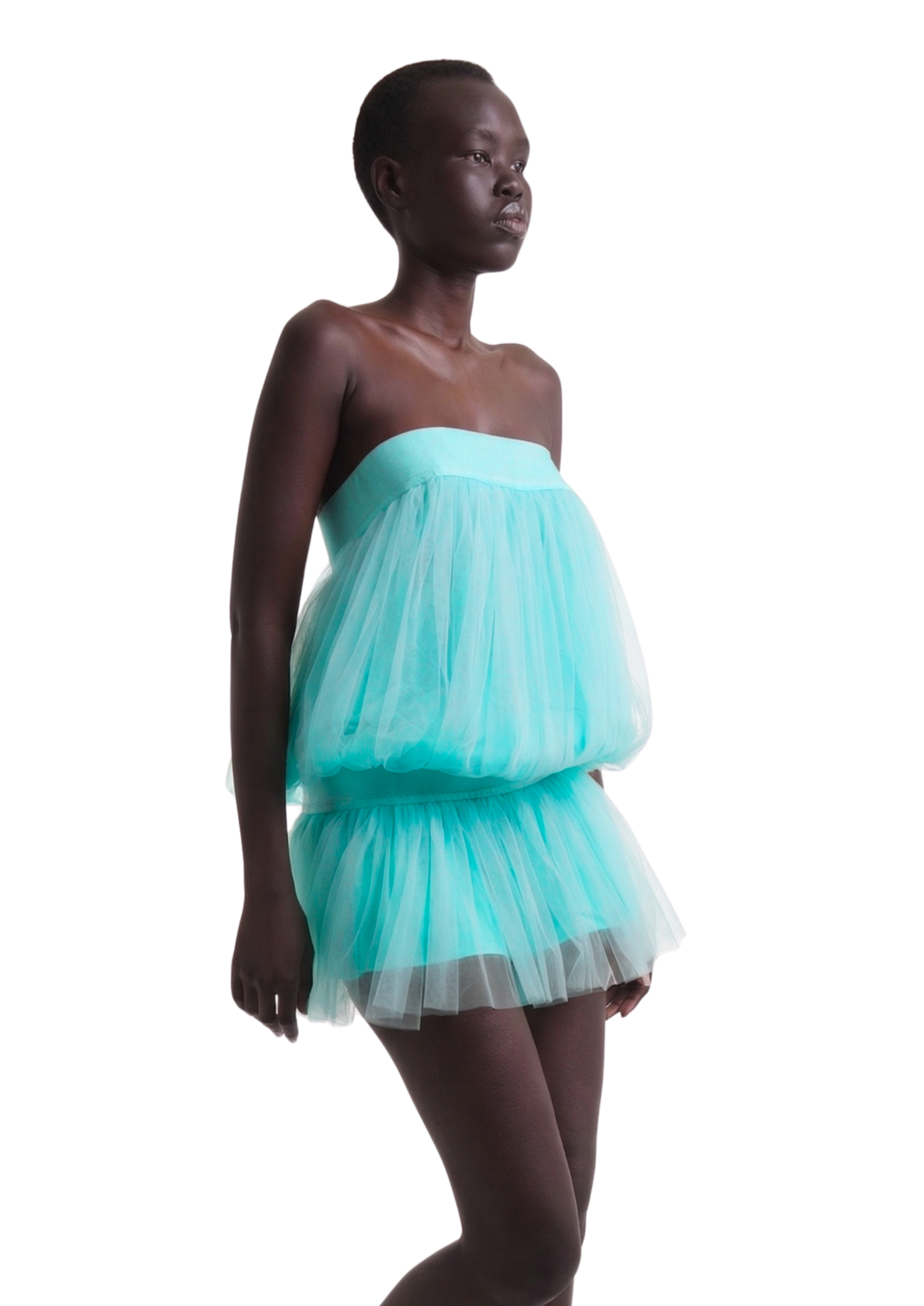 TUTU DRESS IN ICE